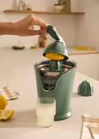 Juicer Press - Exprimidor eléctrico - 100 W - Verde salvia