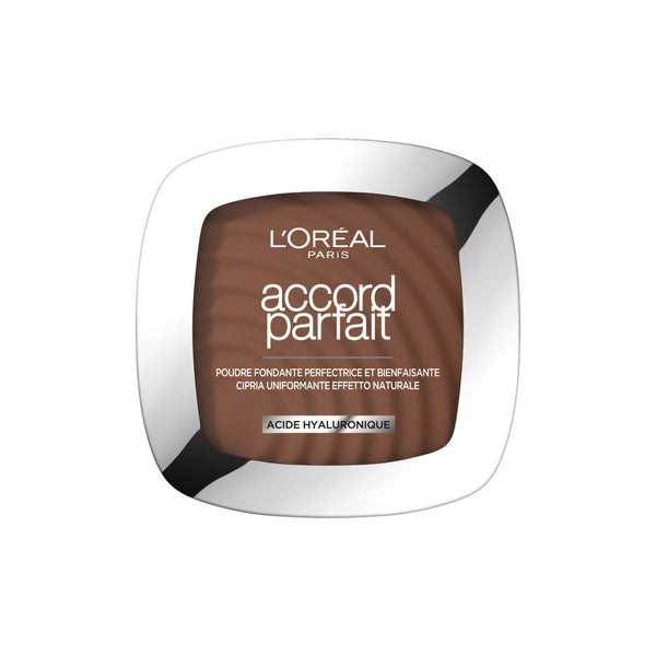 Poudre Matifiante Accord Parfait 11N Café Profond