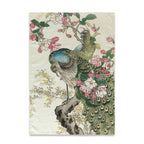 Strofinaccio (2 Pezzi) Japonais - Multicolore