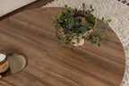 Moira - Mesa de centro - Venezia Walnut