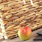 Water Hyacinth Storage Cube
