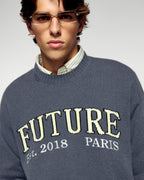 Future Crew-Neck Jumper - Storm Grey - Men