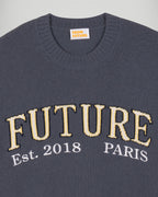 Future Crew-Neck Jumper - Storm Grey - Men