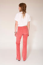 Pantalon The Carolina Velvet Chic - Nuts