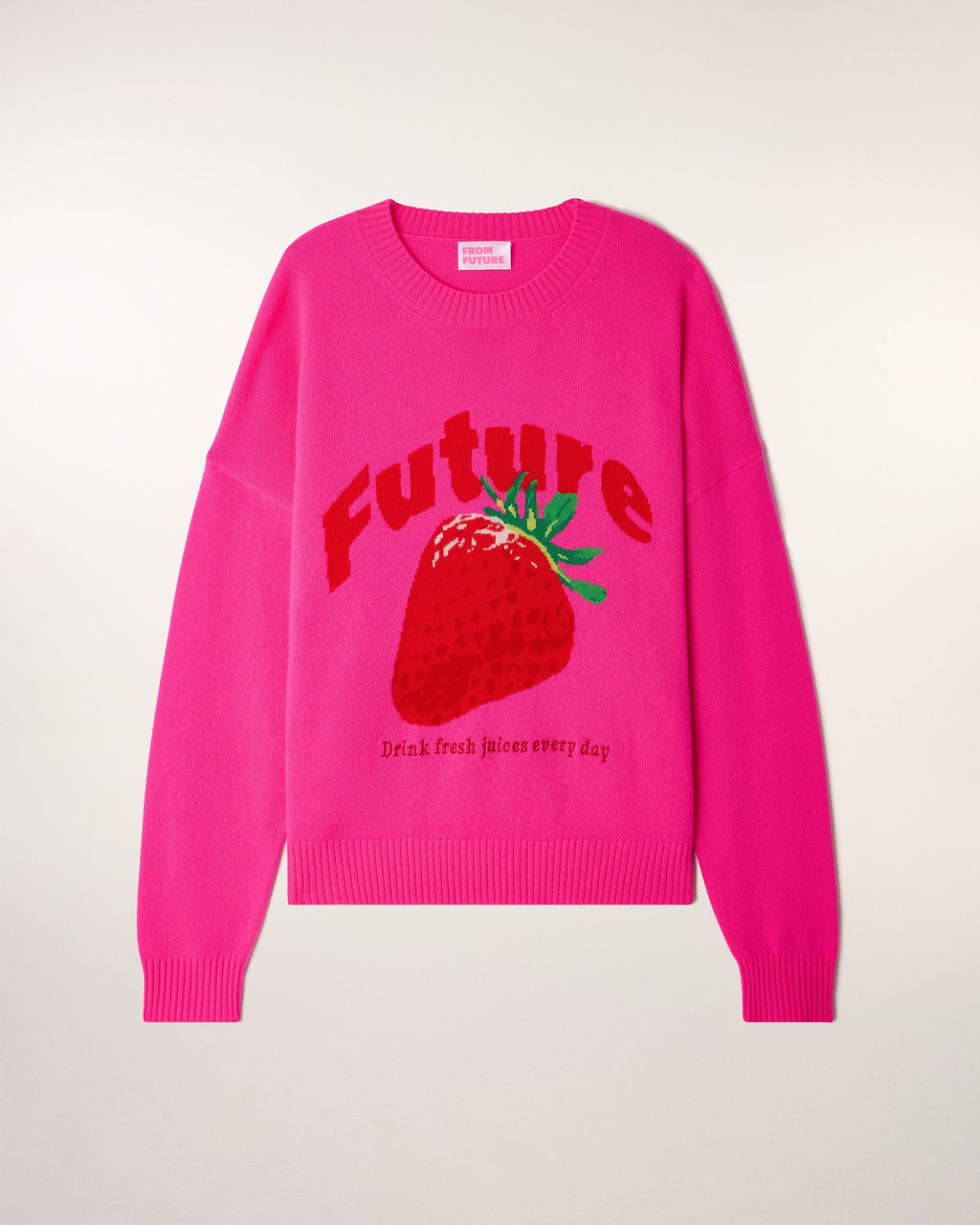 Future Intarsia Pattern Round Neck Sweater