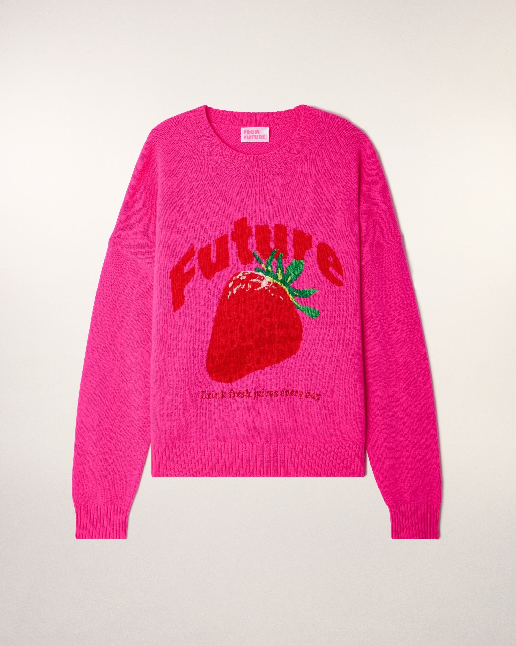 Future Intarsia Pattern Round Neck Sweater