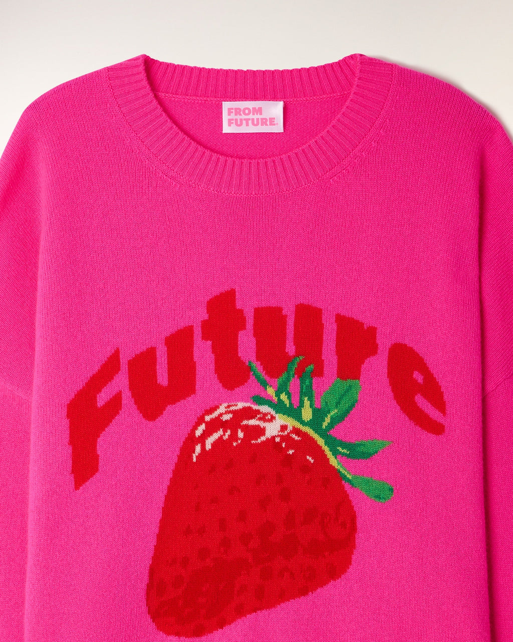 Future Intarsia Pattern Round Neck Sweater