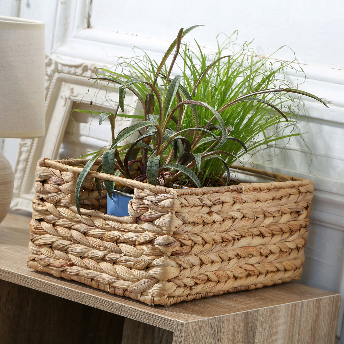 Panier - Jacinthe D'Eau