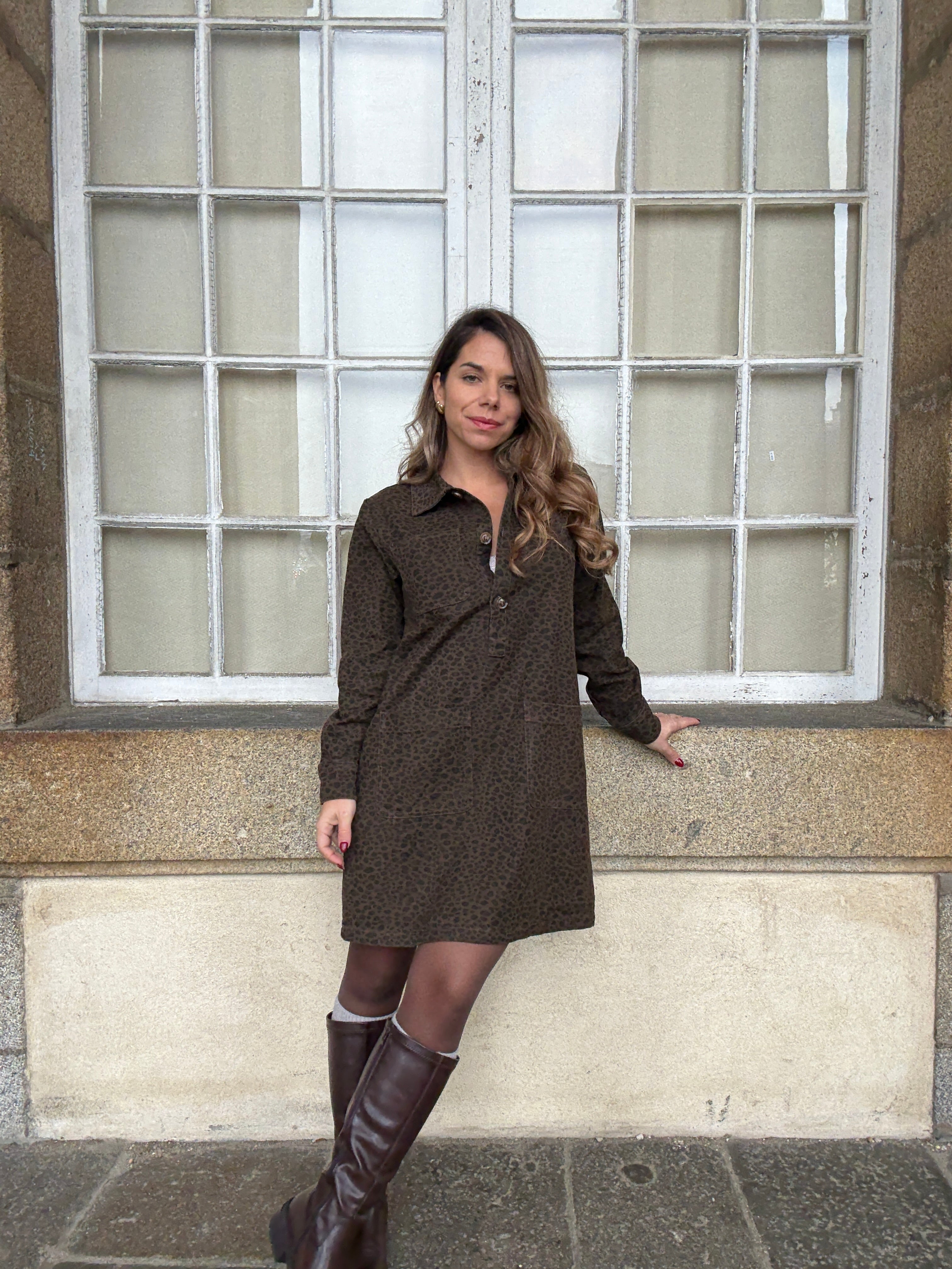 Alix Leopard Dress