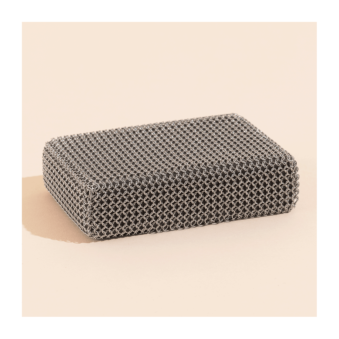 The Stainless Steel Sponge