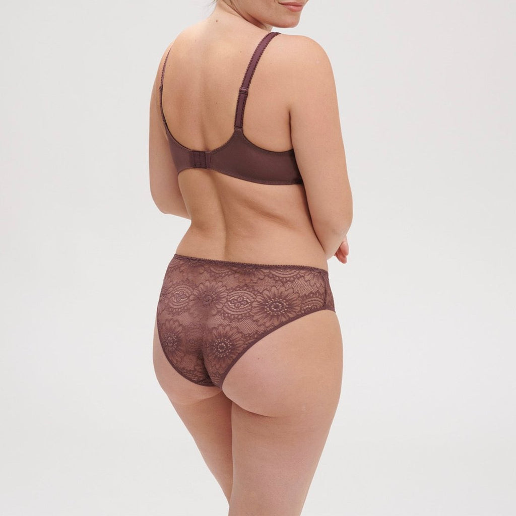 Emblème Brief - Brown