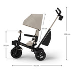 Aveo 2 Plus Tricycle