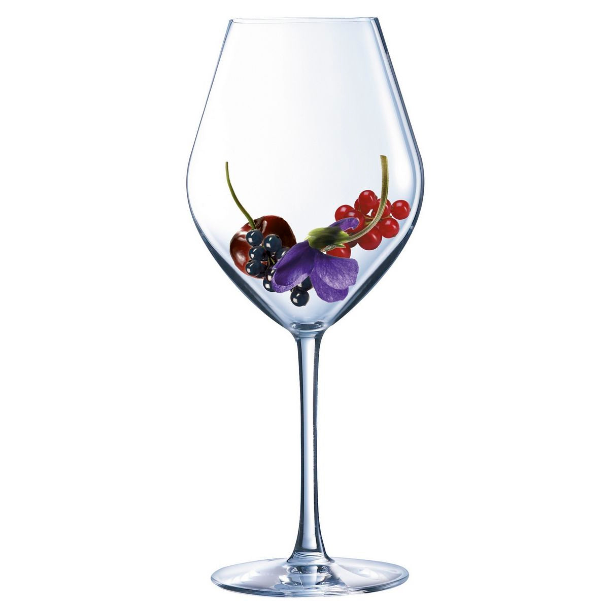 Lys - Lot De 6 Verres À Pied 25Cl Et 6 Gobelets Hauts 36Cl - Cristallin Expert - Translucide