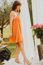 Nanette Clay Dress