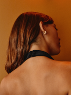 Body Night Velvet