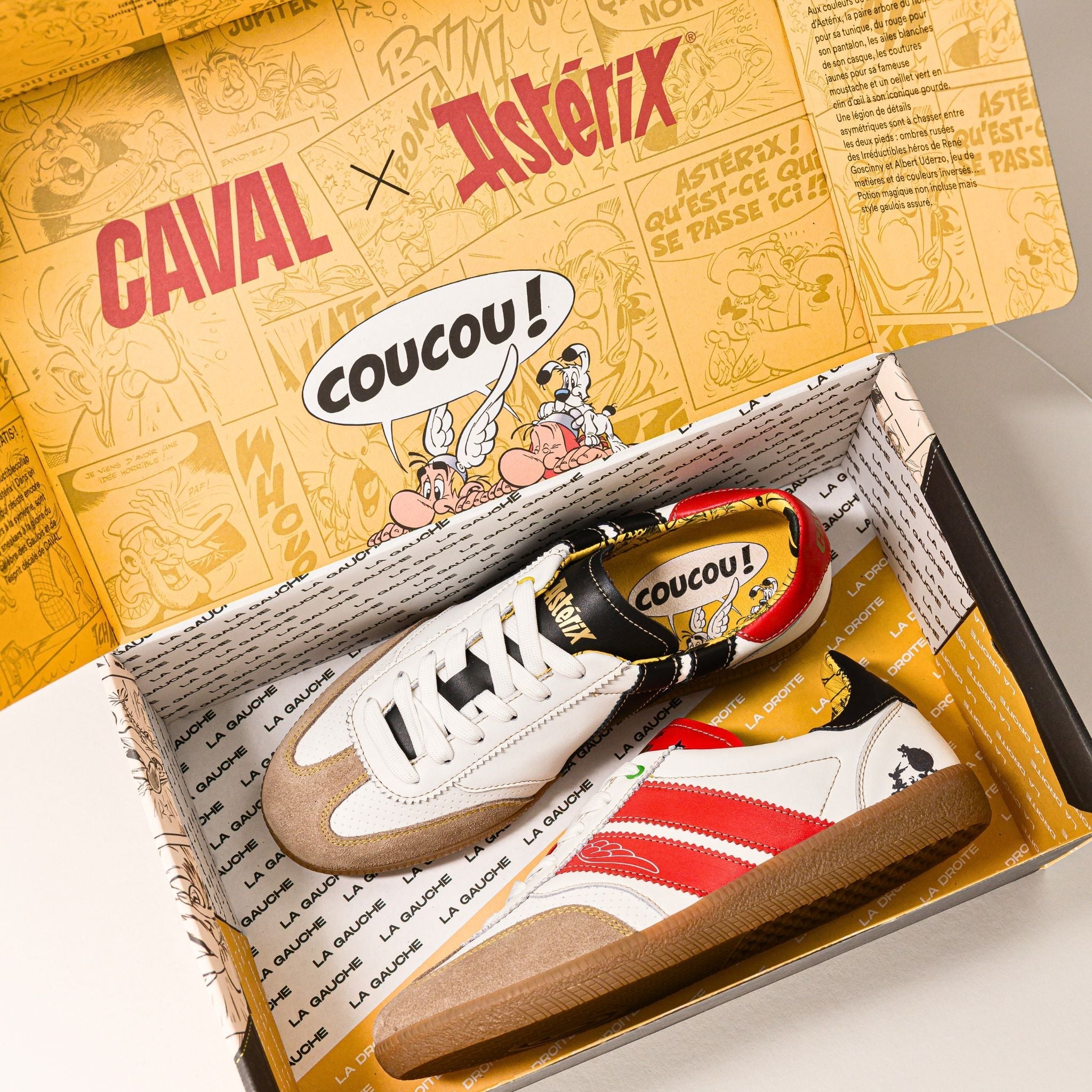 Baskets Caval X Astérix