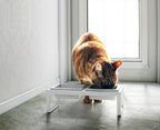 Double Design Pet Bowl - Tower - White