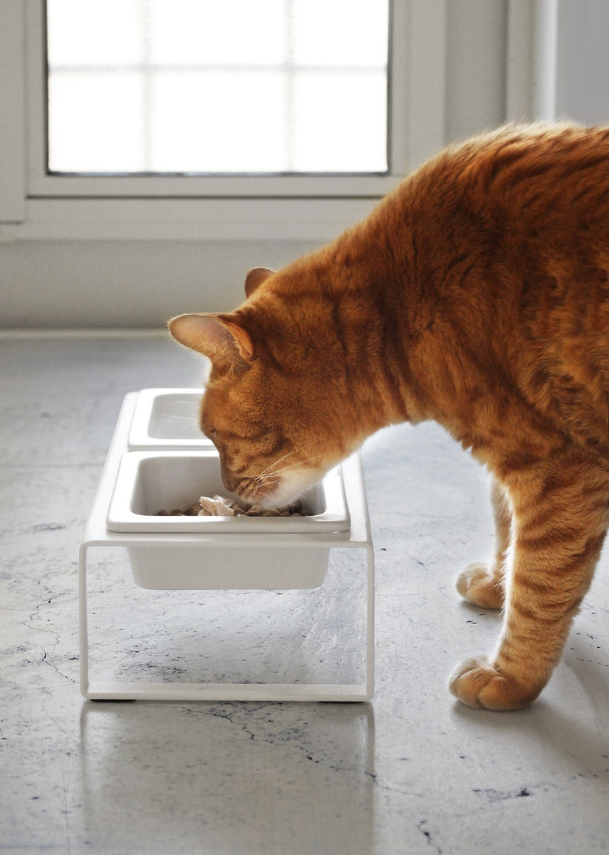 Double Design Pet Bowl - Tower - White