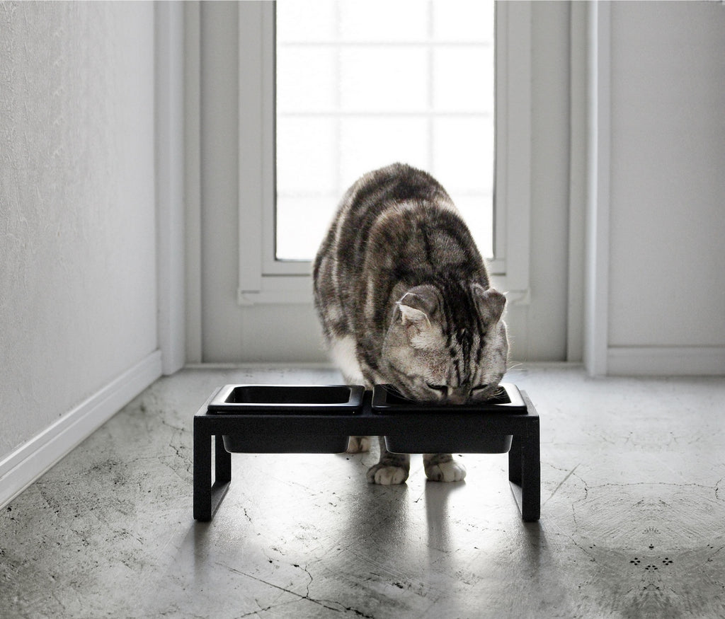 Design Double Pet Bowl - Tower - Black