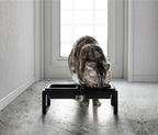 Design Double Pet Bowl - Tower - Black