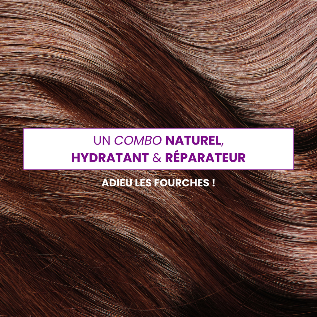 Shampoing Cheveux Secs