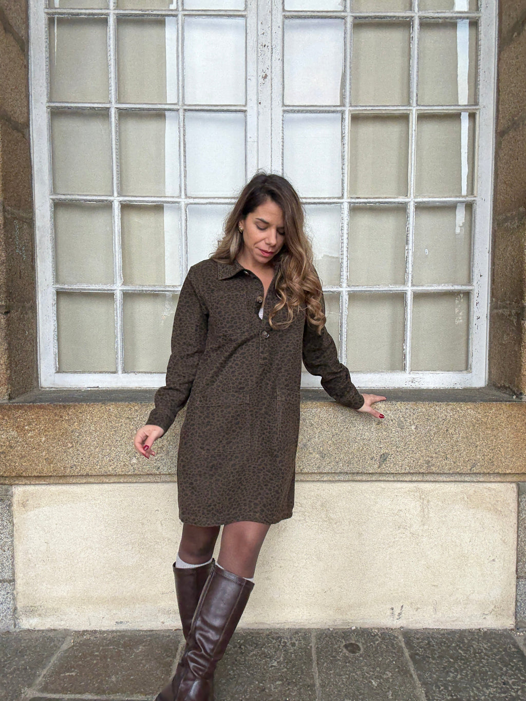 Alix Leopard Dress