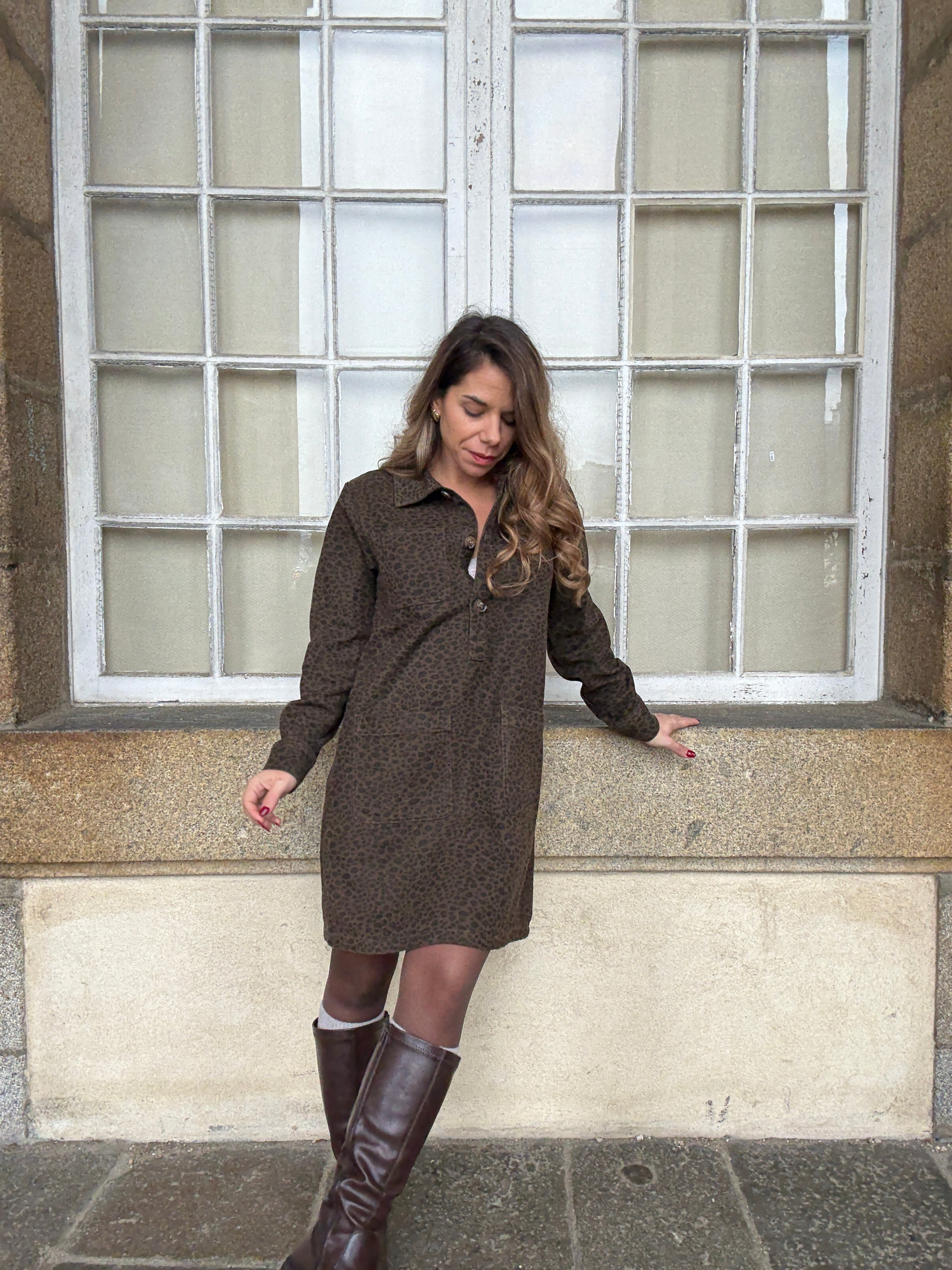 Alix Leopard Dress