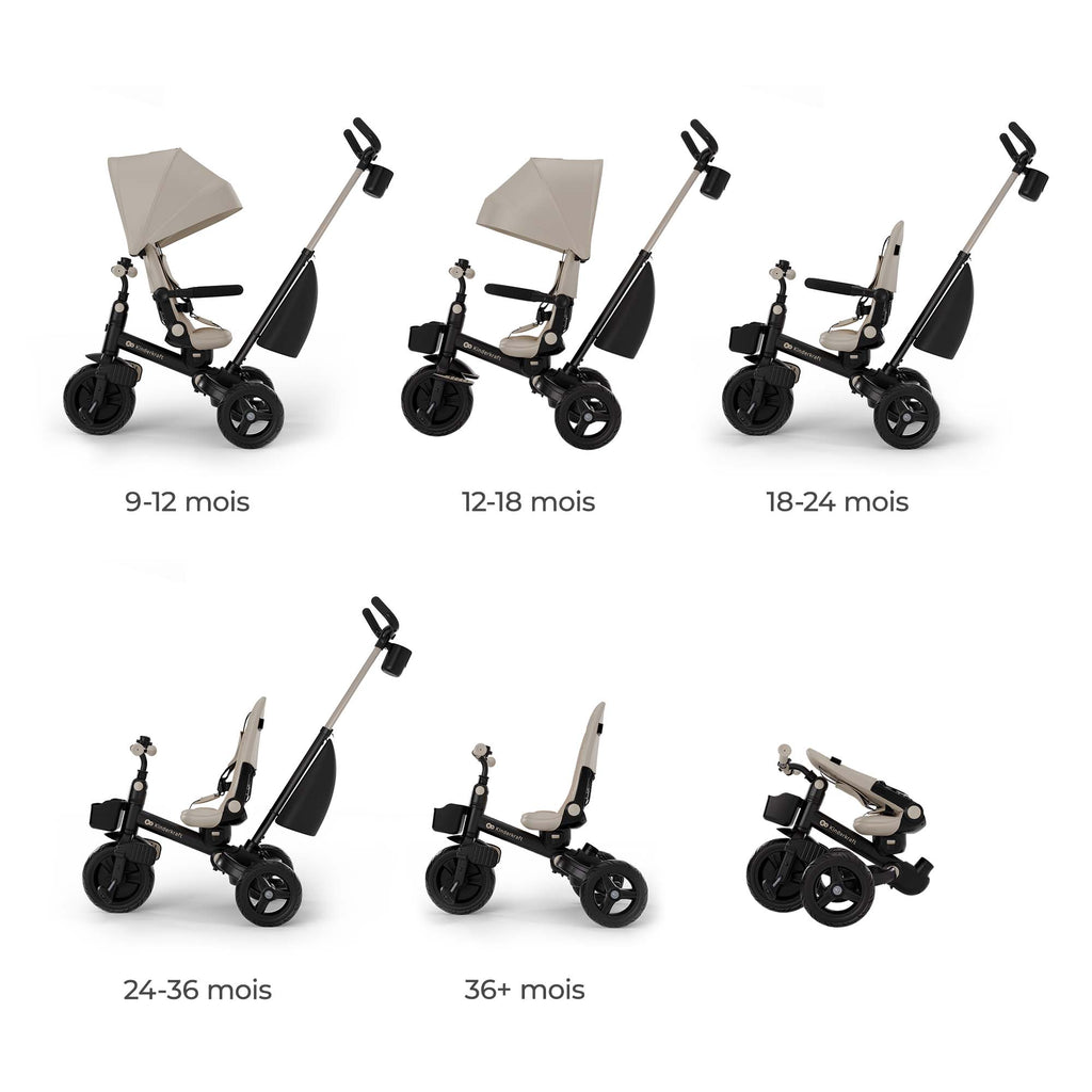 Aveo 2 Plus Tricycle