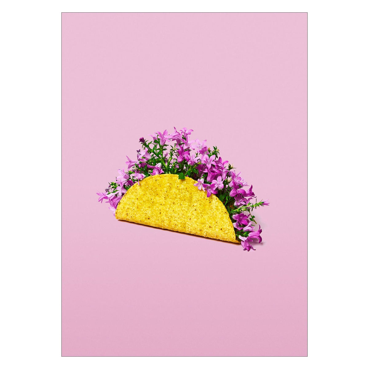 Supermercat - Flower Taco
