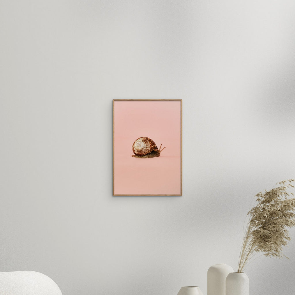 Camilla Schmidt - Snail 1