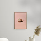 Camilla Schmidt - Snail 1