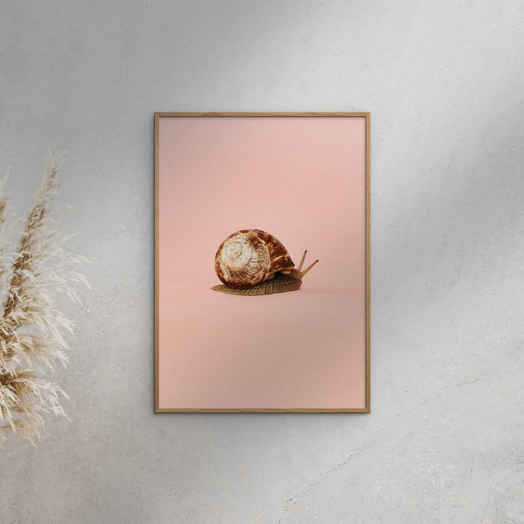 Camilla Schmidt - Snail 1
