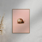 Camilla Schmidt - Snail 1