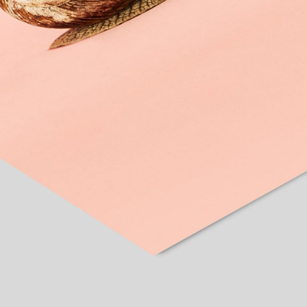 Camilla Schmidt - Snail 1