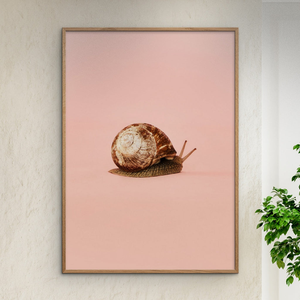 Camilla Schmidt - Snail 1