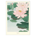 A.P. Atelier - Water Lily