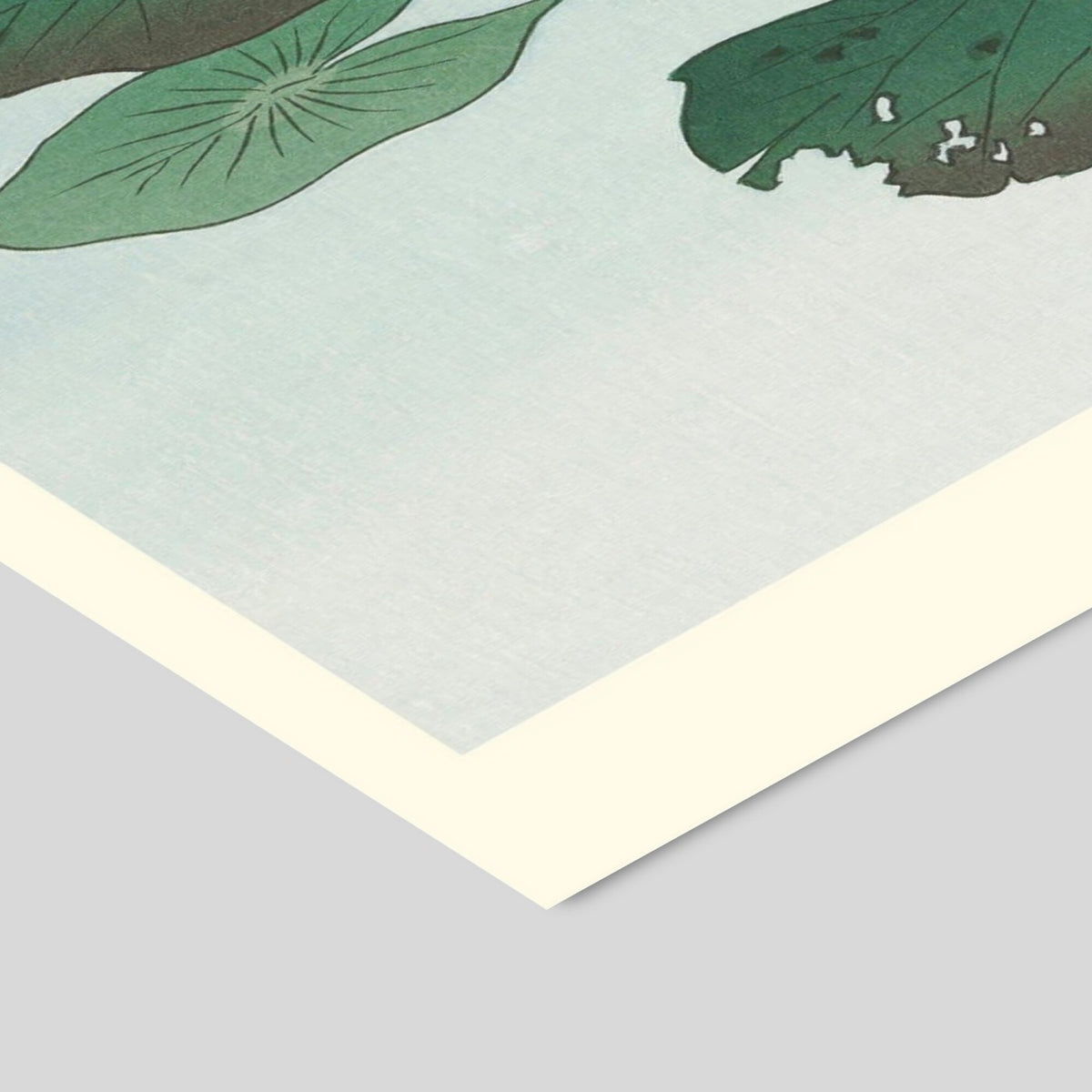 A.P. Atelier - Water Lily