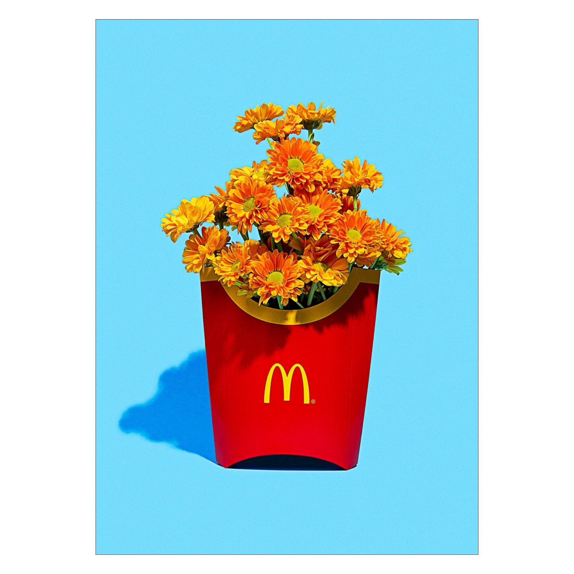 Supermercat - Flower Fries