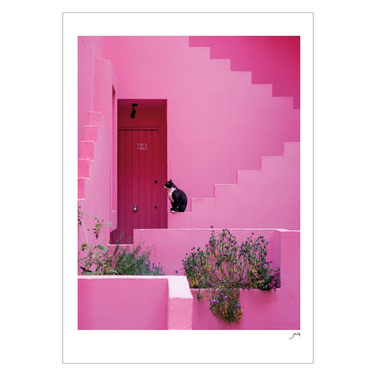 Flip - Pink Panther