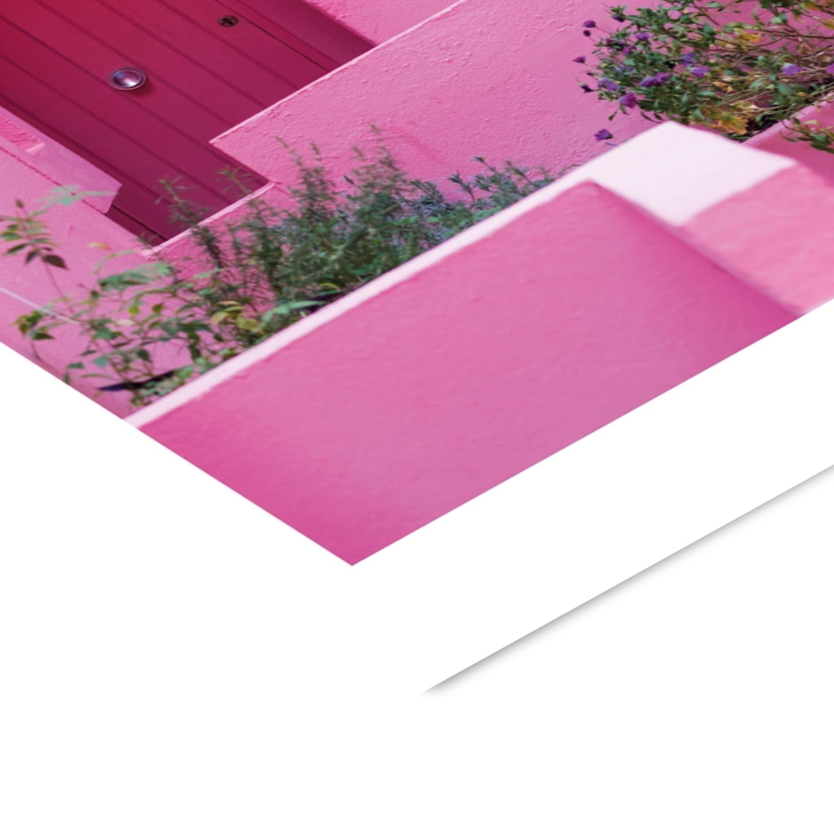 Flip - Pink Panther