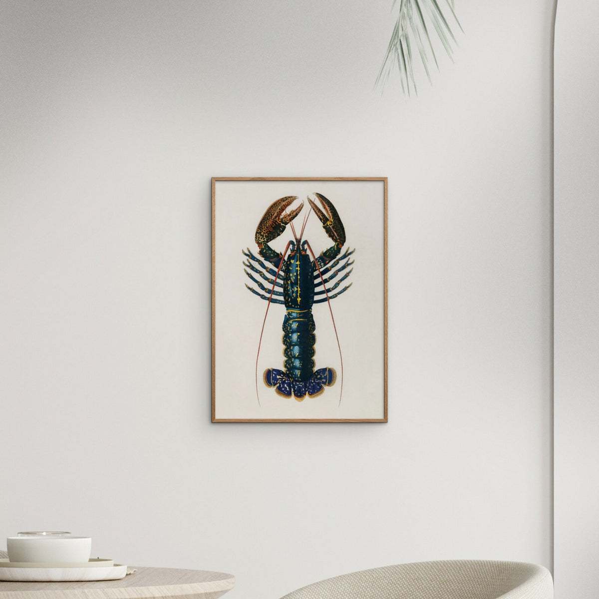 Charles Dessalines D' Orbigny - Lobster