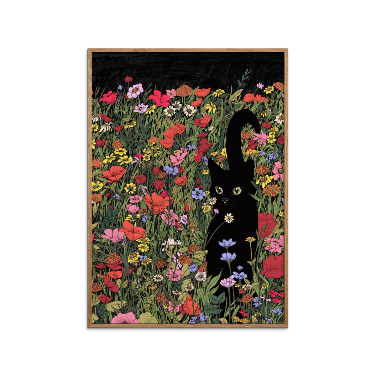 Ec Mazur - Black Meadow Cat