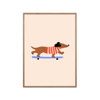 Maren Gross - Dachshund On Skateboard