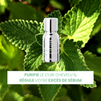 Shampoing Cheveux Gras