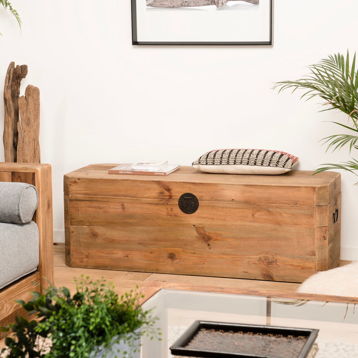 Sandy - Trunk & Chest - Brown