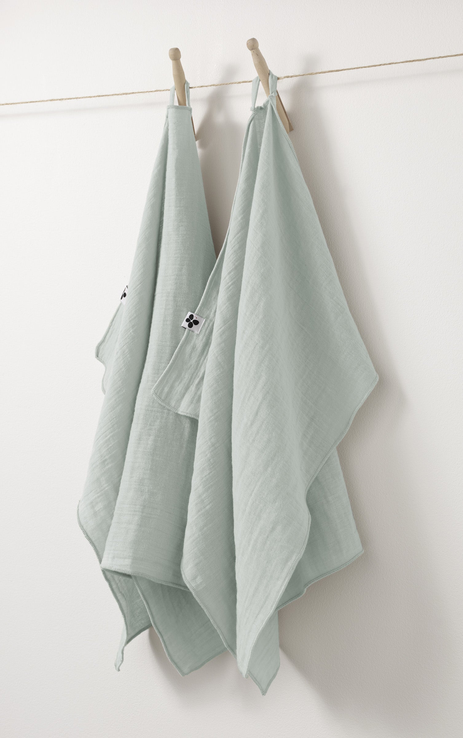 Set of 2 Hand Towels - Gaia - Eucalyptus