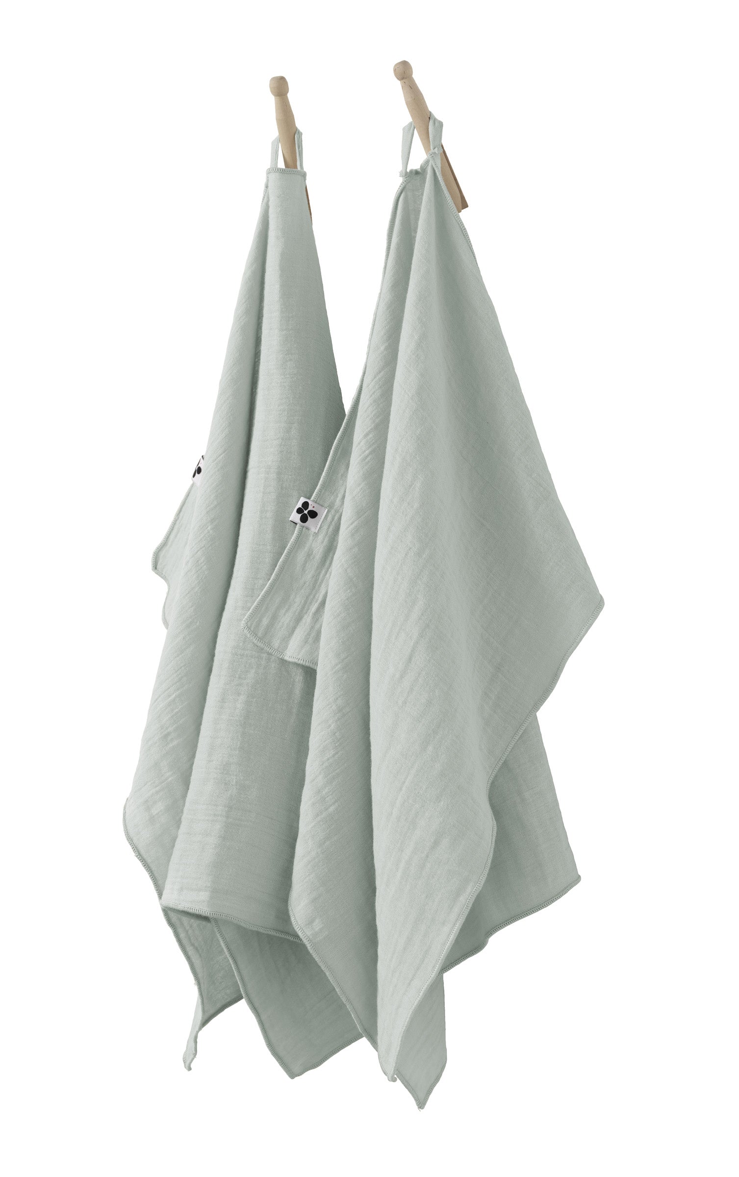Set of 2 Hand Towels - Gaia - Eucalyptus