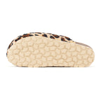 Brown Clogs - Women's