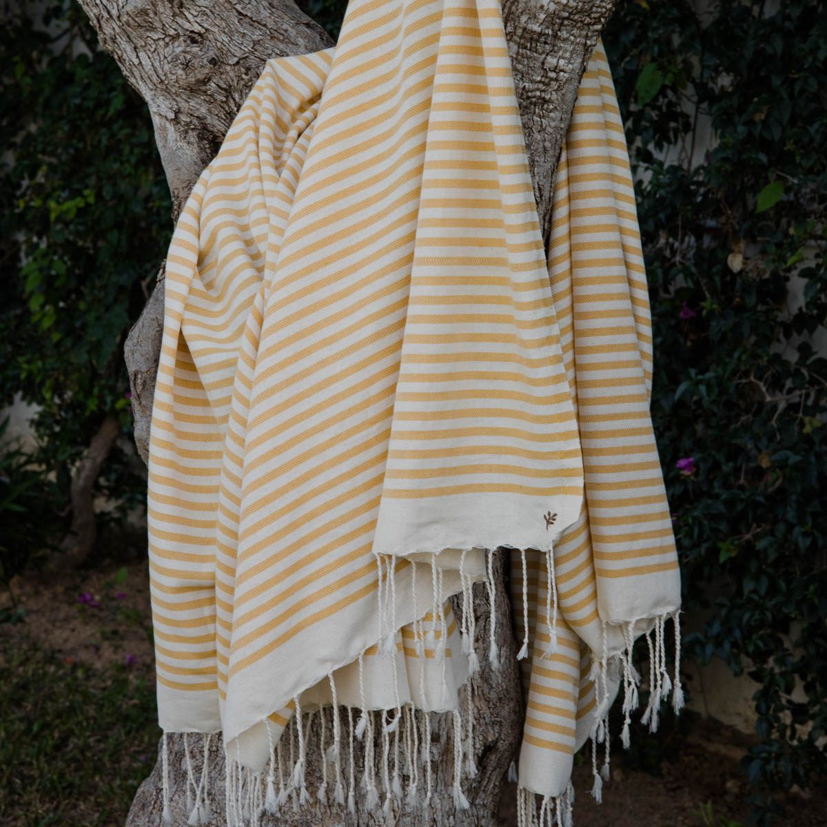 Hossegor - Lot De 2 Foutas - Jaune Moutarde