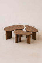 Set of 3 Charlie Coffee Tables - Walnut Color With 3 Legs